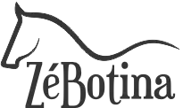 Zé Botina – Blog
